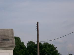 Picture provided by B7C 11/10/2022