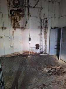 Picture provided by AJ Jackson 01/03/2026