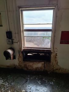 Picture provided by AJ Jackson 01/03/2026