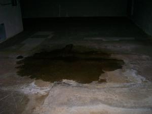 Picture provided by B7C 11/10/2022