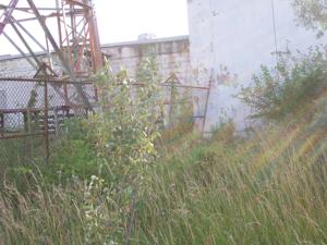 Picture provided by B7C 11/10/2022