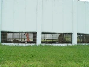 Picture provided by B7C 03/11/2023