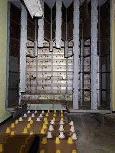 Picture provided by NTN 10/29/2022