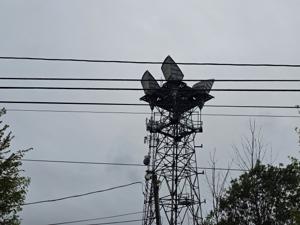 Picture provided by JMB61 05/23/2025