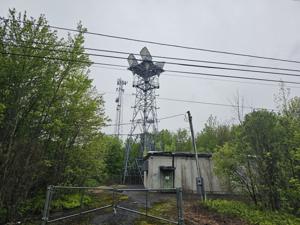 Picture provided by JMB61 05/23/2025