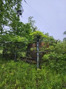 Picture provided by NTN 05/29/2023
