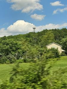 WINDSOR NY, New York