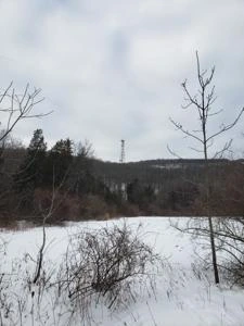 Picture provided by EOC24 02/10/2026