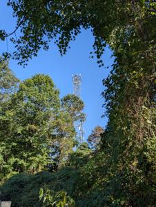 Picture provided by Wysz 10/06/2025