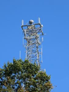 Picture provided by Wysz 10/06/2025