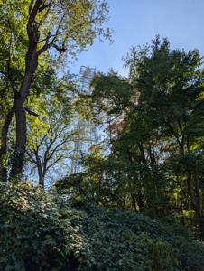 Picture provided by Wysz 10/06/2025