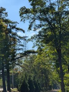 Picture provided by Wysz 10/06/2025