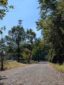 Picture provided by Wysz 10/06/2025