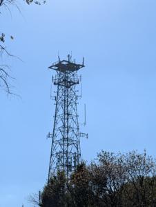 Picture provided by Wysz 10/06/2025