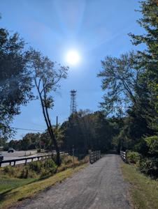 Picture provided by Wysz 10/06/2025