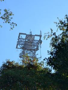 Picture provided by Wysz 10/06/2025