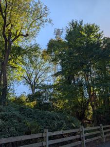 Picture provided by Wysz 10/06/2025