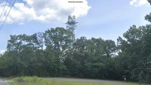 Picture provided by B7C 12/22/2024