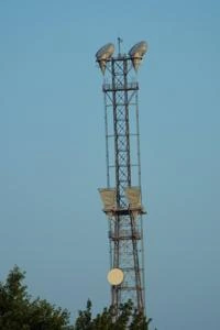 Picture provided by B7C 10/19/2022