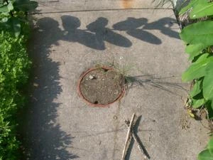 Picture provided by B7C 11/10/2022