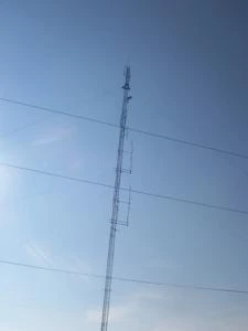 Picture provided by B7C 10/19/2022