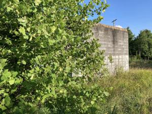 Picture provided by B7C 12/09/2025