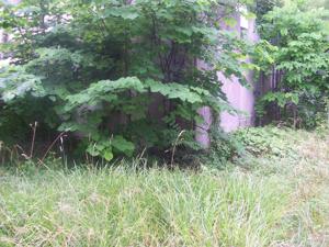 Picture provided by B7C 11/10/2022