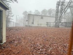 Picture provided by Matthew 12/30/2024