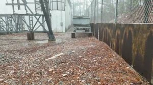Picture provided by Matthew 12/30/2024