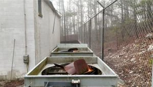 Picture provided by Matthew 12/30/2024