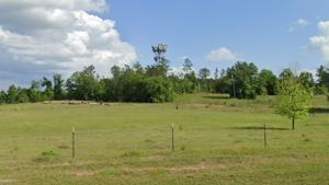 Picture provided by B7C 07/11/2024