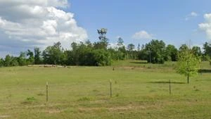 Picture provided by B7C 07/11/2024
