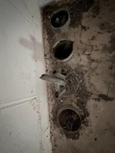 Picture provided by JE 11/10/2022