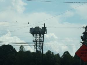 Picture provided by Austin C. 10/01/2025