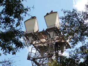 Picture provided by Austin C. 10/01/2025