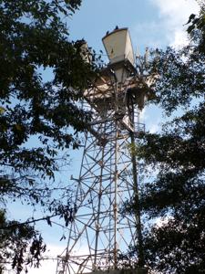 Picture provided by Austin C. 10/01/2025