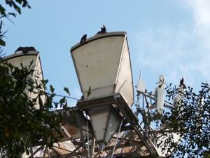 Picture provided by Austin C. 10/01/2025