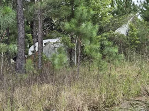 KELLER GA1, Georgia