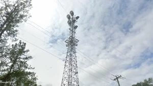 Picture provided by B7C 01/19/2025