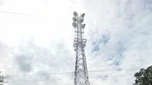 Picture provided by B7C 07/11/2024
