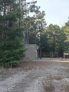 THOMPSON GA2, Georgia