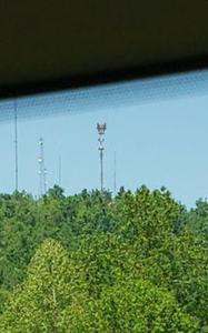 Picture provided by AJ Jackson 05/07/2023