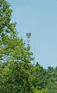 Picture provided by AJ Jackson 05/07/2023