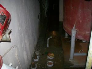 Picture provided by B7C 03/08/2023