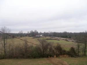 Picture provided by B7C 03/08/2023