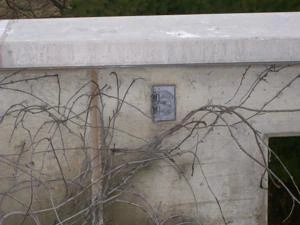 Picture provided by B7C 03/08/2023