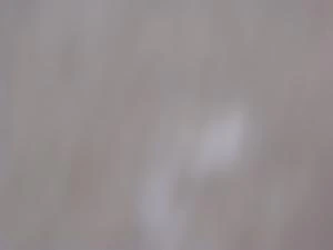 Picture provided by B7C 03/08/2023