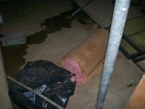Picture provided by B7C 03/08/2023