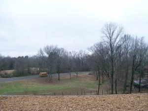 Picture provided by B7C 03/08/2023