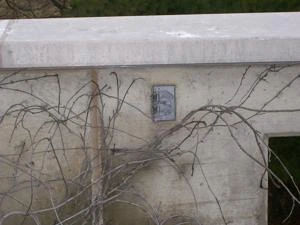 Picture provided by B7C 03/08/2023